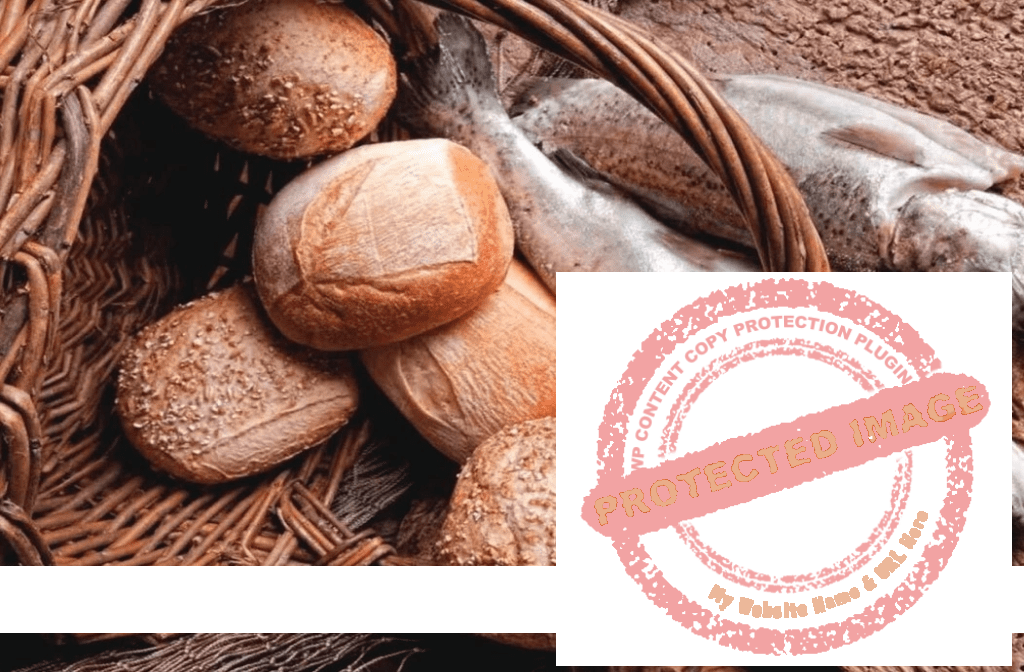 মামলুকাতুল্লাহ: রুকু ১৫ ও ১৬