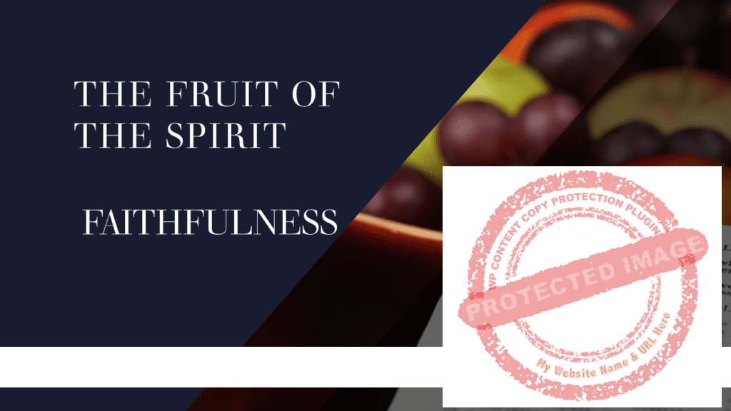 মামলুকাতুল্লাহ: রুকু ২৫ ও ২৬