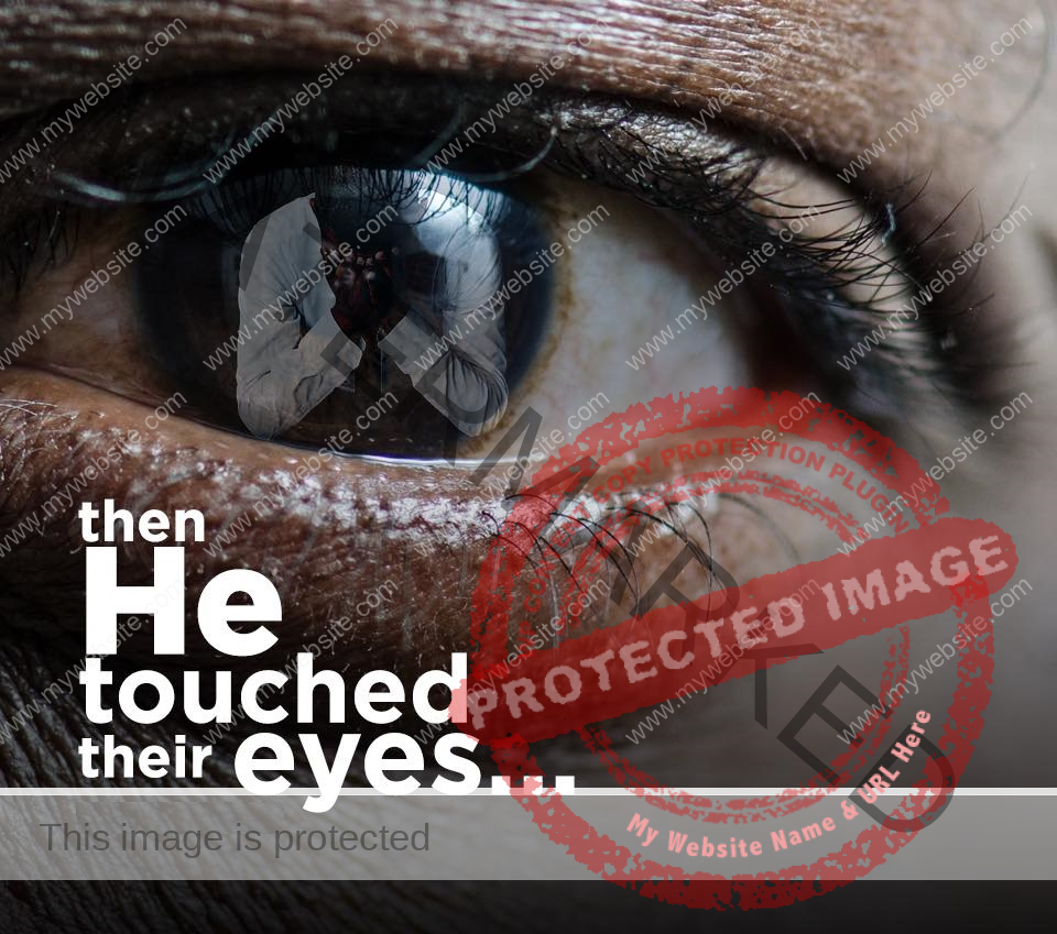 মামলুকাতুল্লাহ: রুকু – ৯ ও ১০