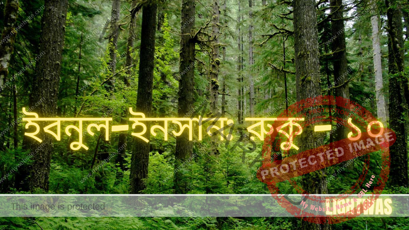 ইবনুল-ইনসান: রুকু - ১০
