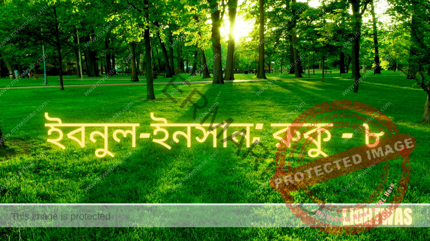 ইবনুল-ইনসান: রুকু - ৮